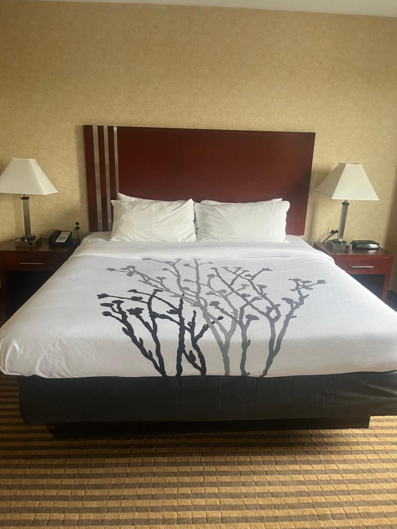 Lynchburg Grand Hotel Phòng bức ảnh